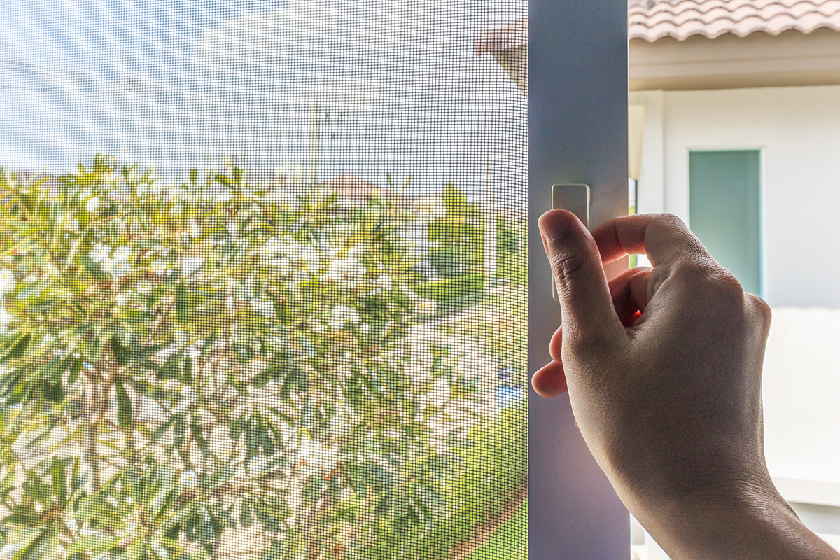 Insektenschutz in der Mietwohnung